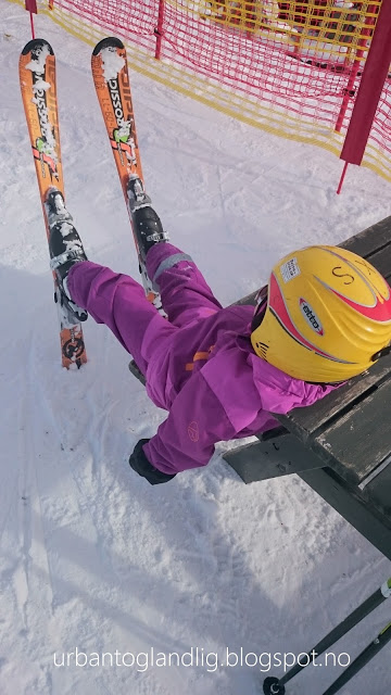 Dette bildet mangler alt-tekst; dets filnavn er IMG_0263-001.jpg