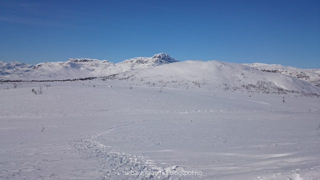 Dette bildet mangler alt-tekst; dets filnavn er IMG_0279-001.jpg