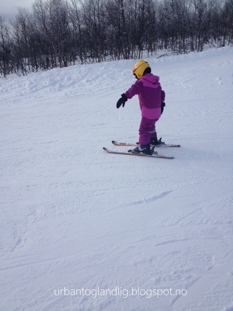 Dette bildet mangler alt-tekst; dets filnavn er IMG_1163-001.jpg