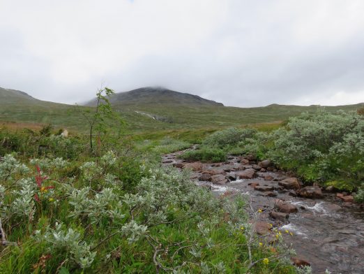 Natur og elveleier tatt på turen mellom Torfinnsbu og Bygdin