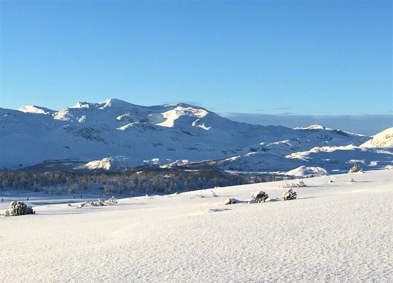 Å nyte Beitostølen med ski på beina.Utsikt over fjellheimen fra Garli