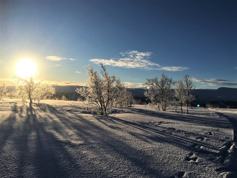 Reisebloggere, velkommen til beitostølen. Midt løypenettet på Beitostølen. Urbantoglandlig