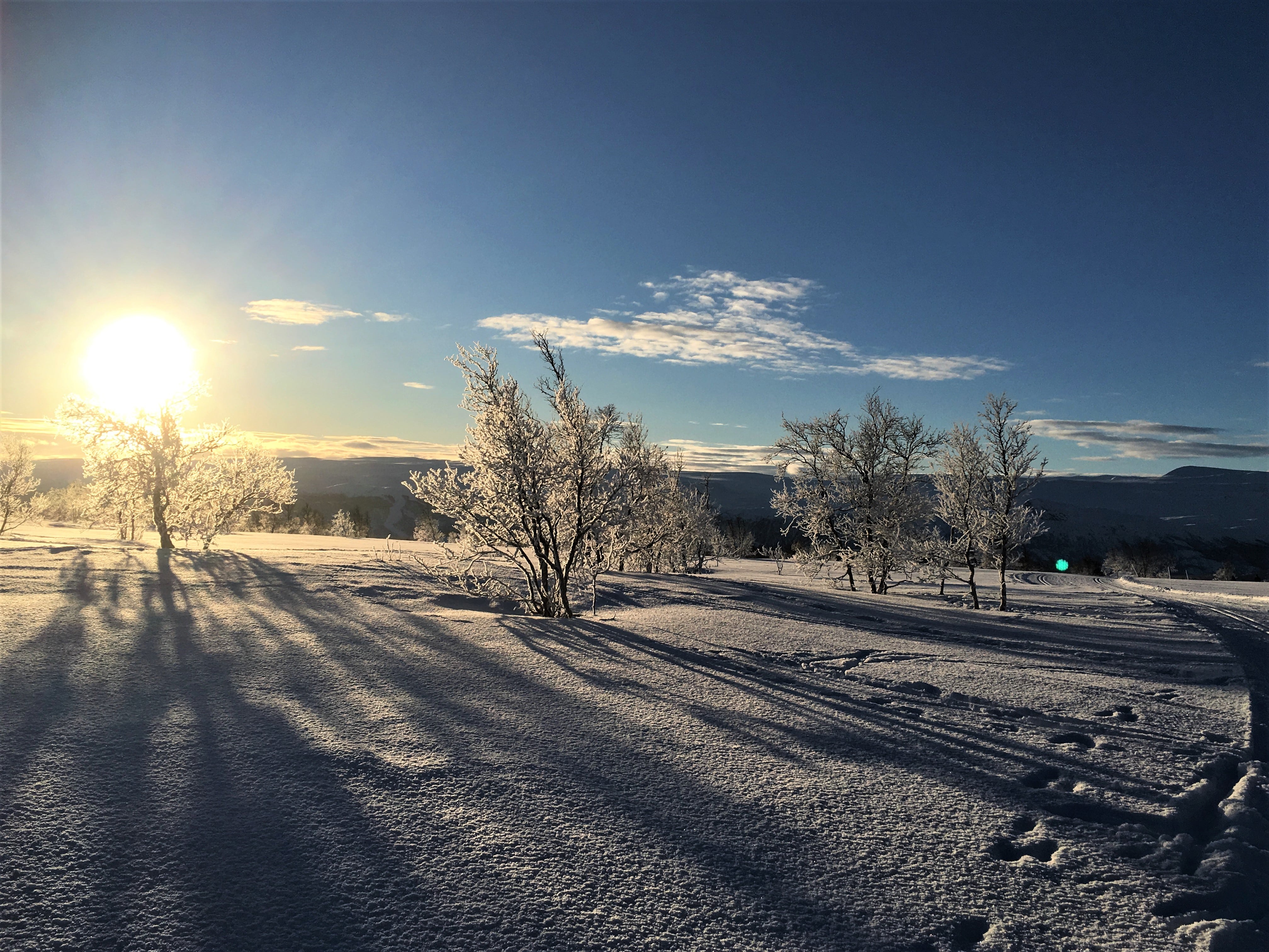 Reisebloggere, velkommen til beitostølen. Midt løypenettet på Beitostølen. Urbantoglandlig
