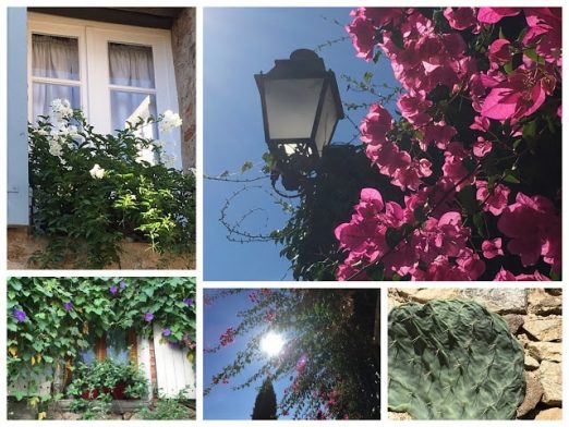 Vakre vindusposter med en søt blomsterduft - Grimaud