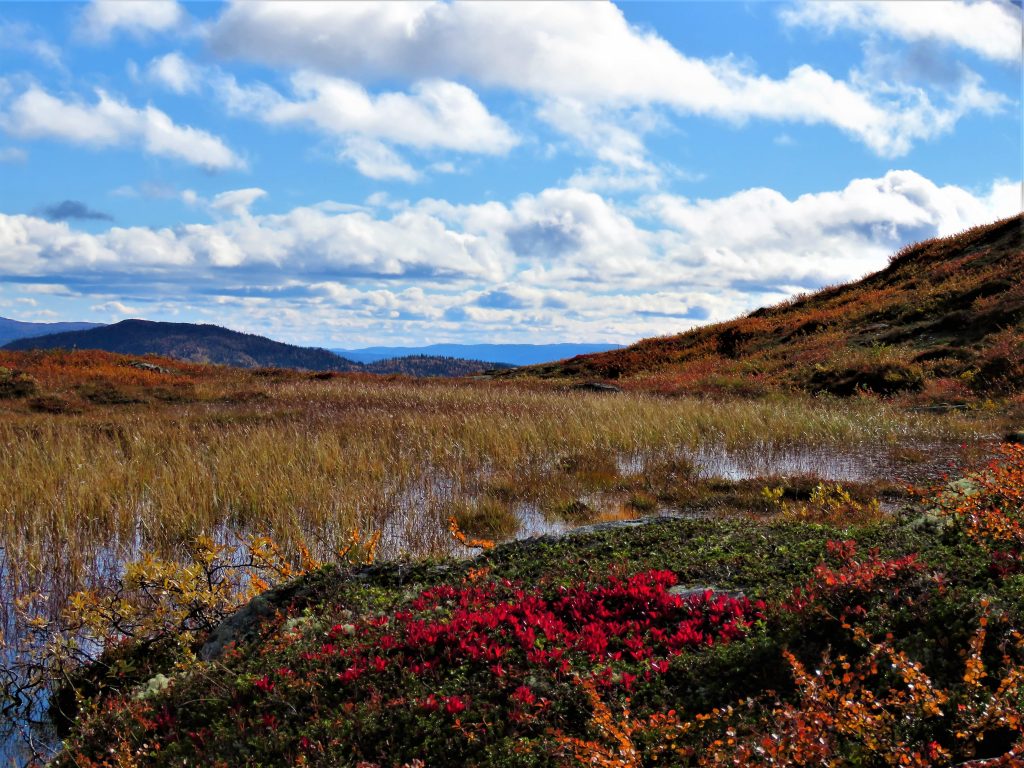 Beitostølen - høsttur i fjellet Vakre farger mot fjell og vann