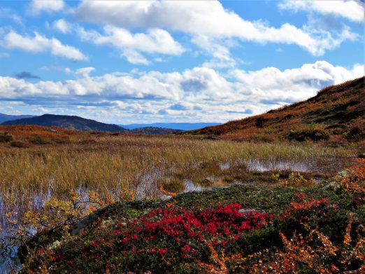 Beitostølen - høsttur i fjellet Vakre farger mot fjell og vann
