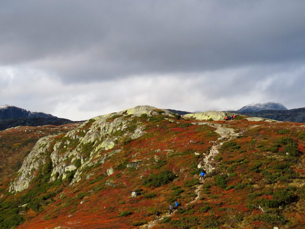 Beitostølen - høsttur i fjellet. Maken til høstfarger er det lenge siden jeg har sett