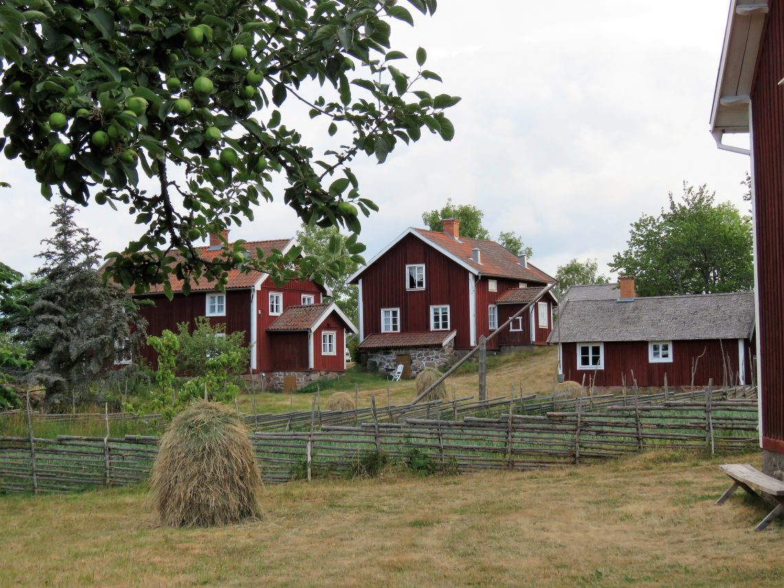 Ta barna med til Åsens by. En klynge av de gamle boligene i Åsens by. Urbantoglandlig