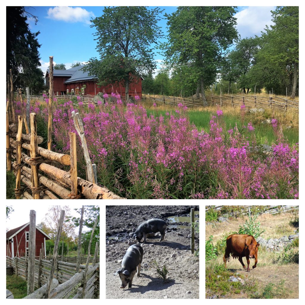 Ta barna med til Åsens by. Kollasj fra området med bygninger, blomster og dyr. Urbantoglandlig