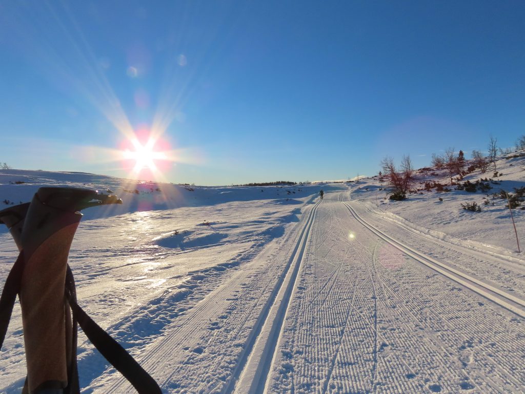 Supergli på felleski innover Garlislettene - Tor har festet stavene i snøen og venter på meg