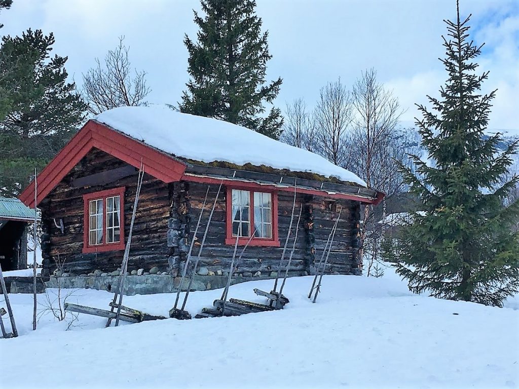 Ikke er født med ski på beina - Beitostølen - så mye vakre tømmerhytter å se på