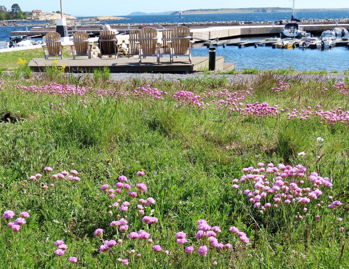 Støtvig Hotel i Hamptonstil og med utsikt mot evigheten — Urbantoglandlig