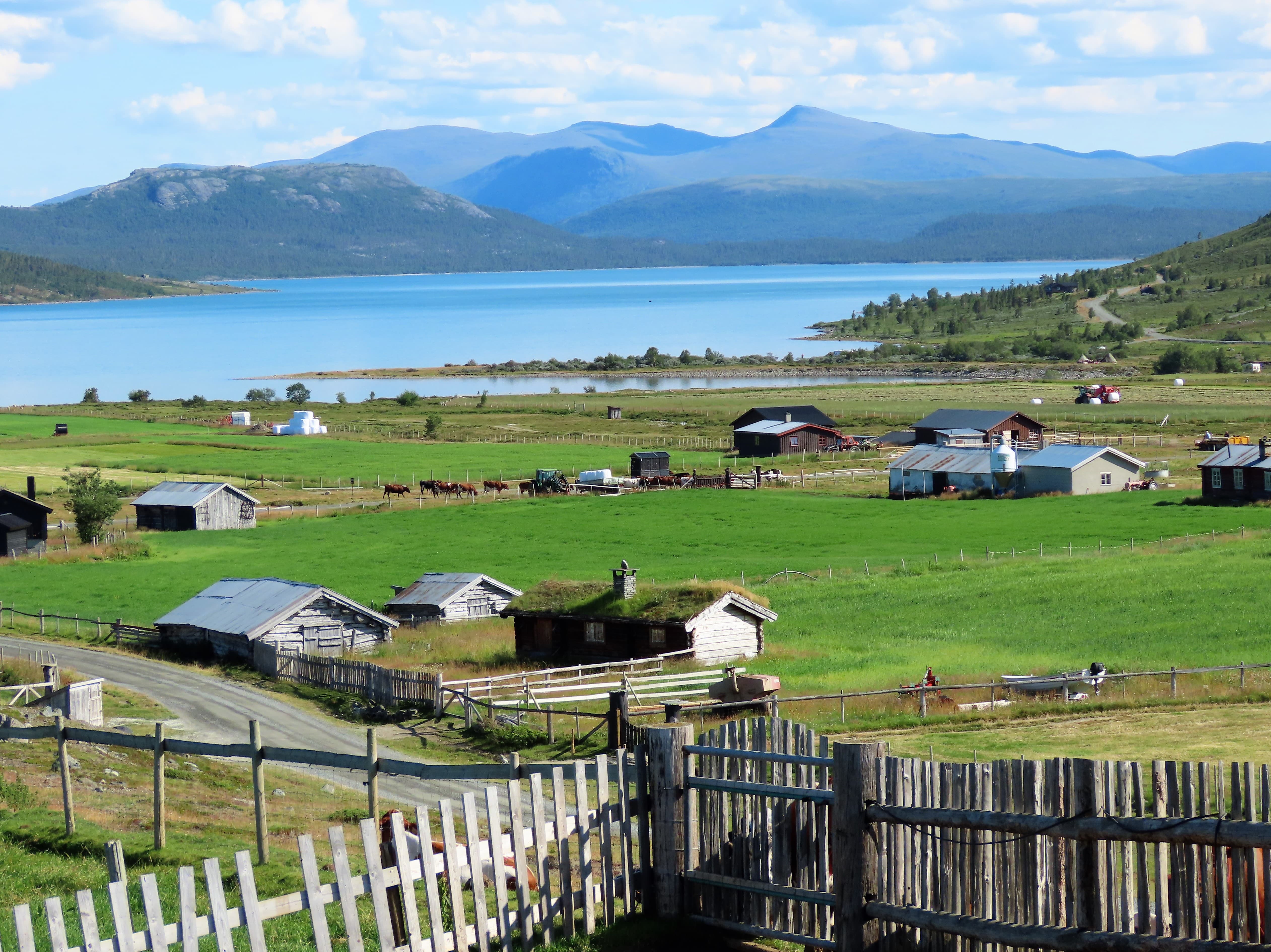 Brimi sæter - et av de mest leste artikler på Urbantoglandlig 2019 IMG_2929 (2)-min