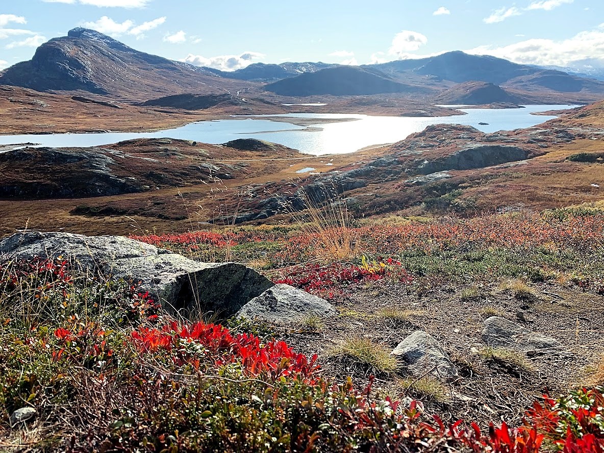 Utsikt over innsjoen Bygdin. Til vesntre skimtes Bitihorn IMG_4047 (2)