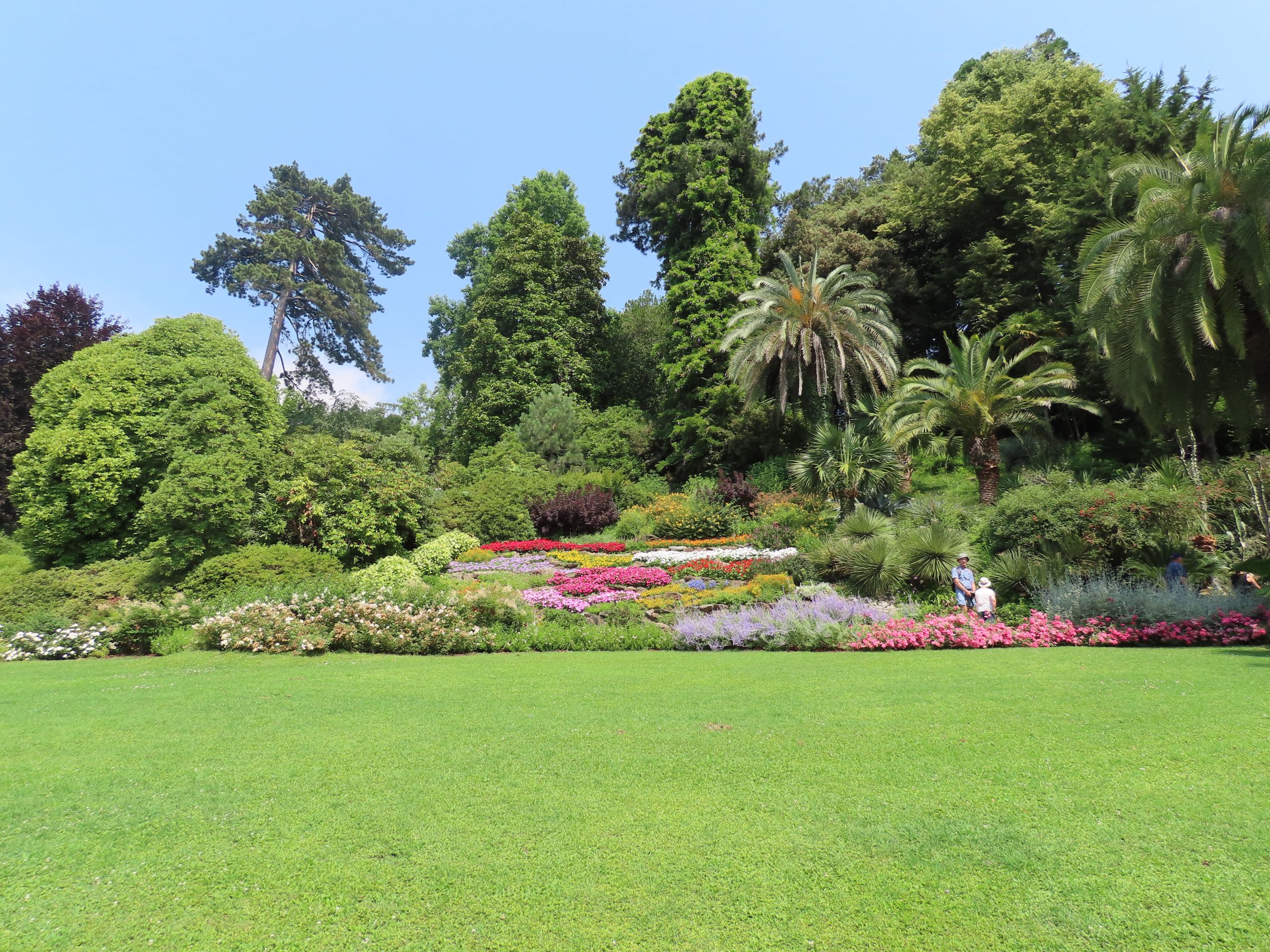 Steinbedparti i den botaniske hagen - Villa Carlotta, Tremezzo