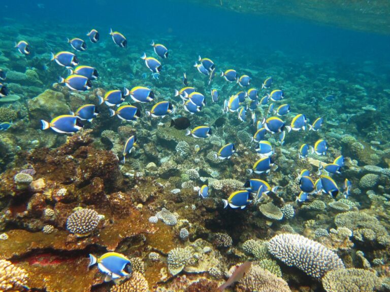 Familieferie på Maldivene med hav i turkis fargeskala