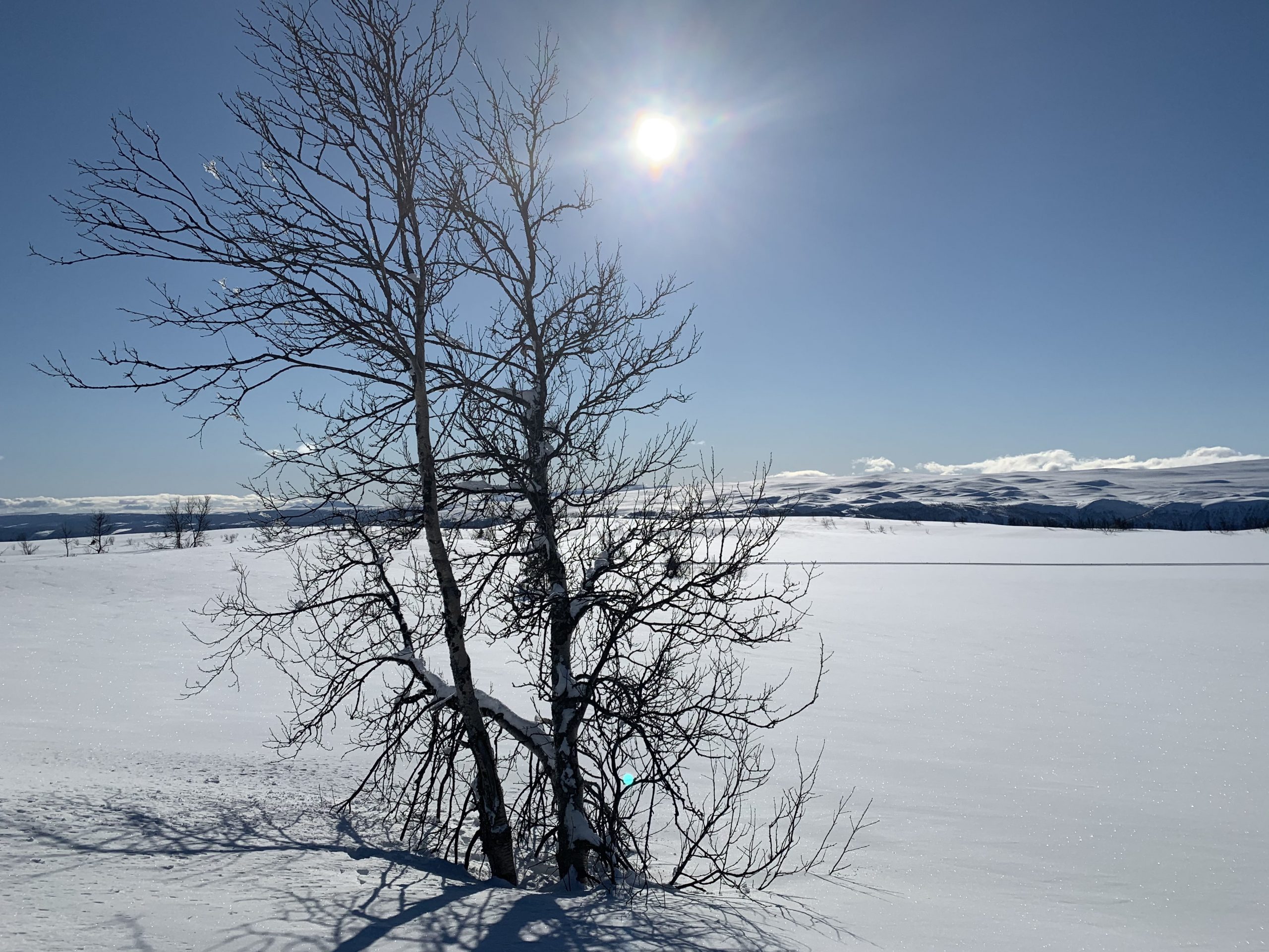Skiturer på Garli i fint vær er toppers