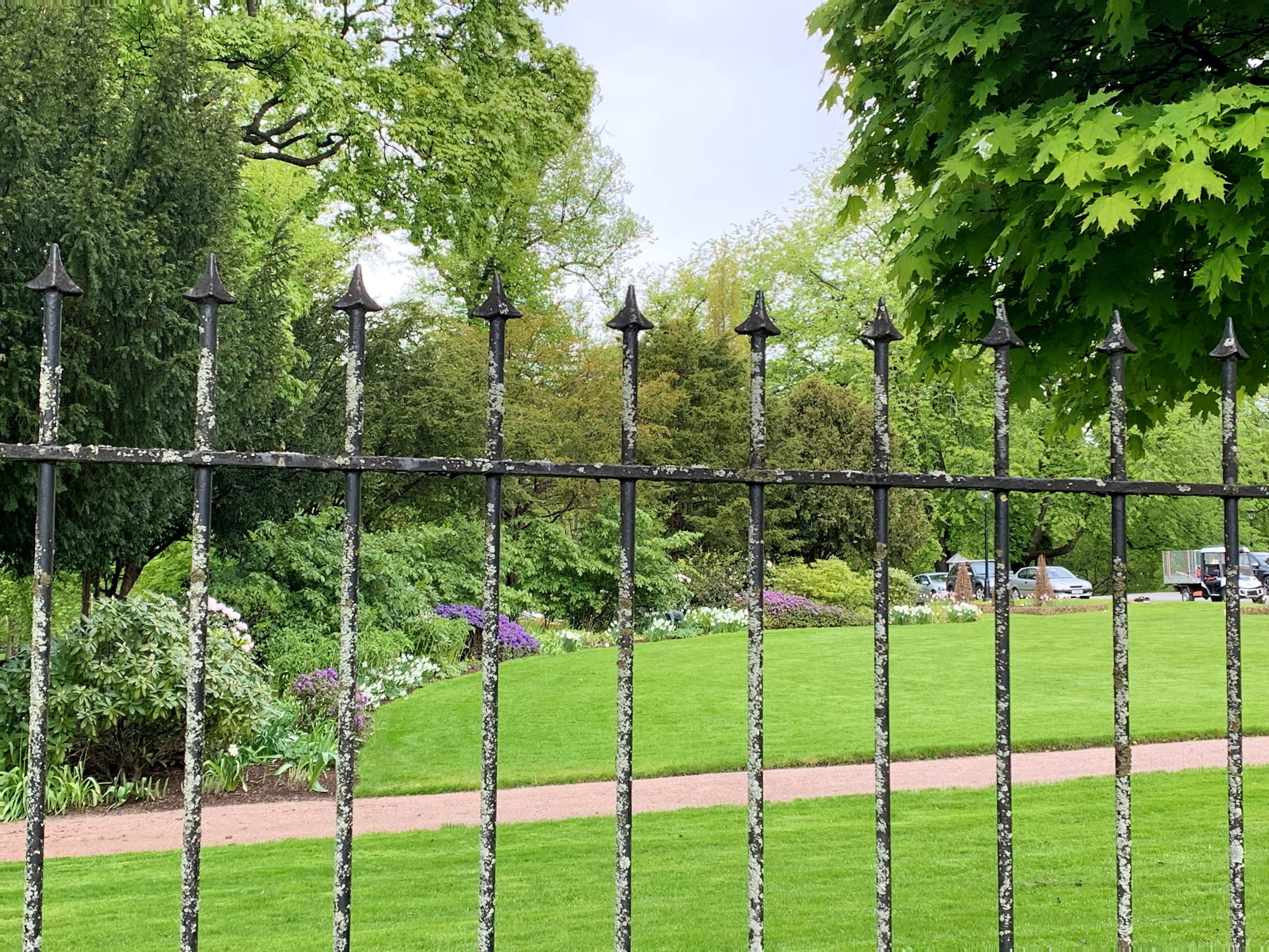 En titt på blomstringen gjennom gjerdet ved slottet