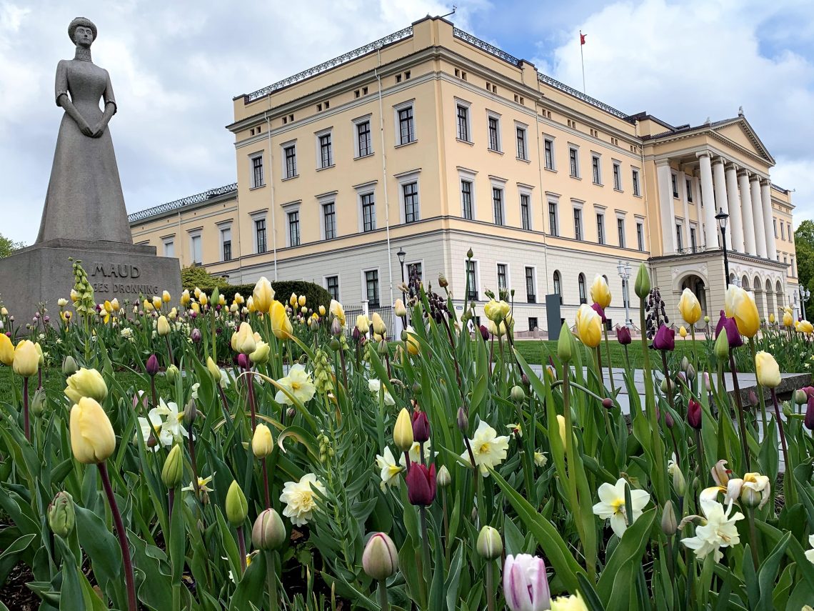 På rusletur i Oslo - vårblomstring i Karl Johansgate - blomstring rundt dronning Maud ved slottet