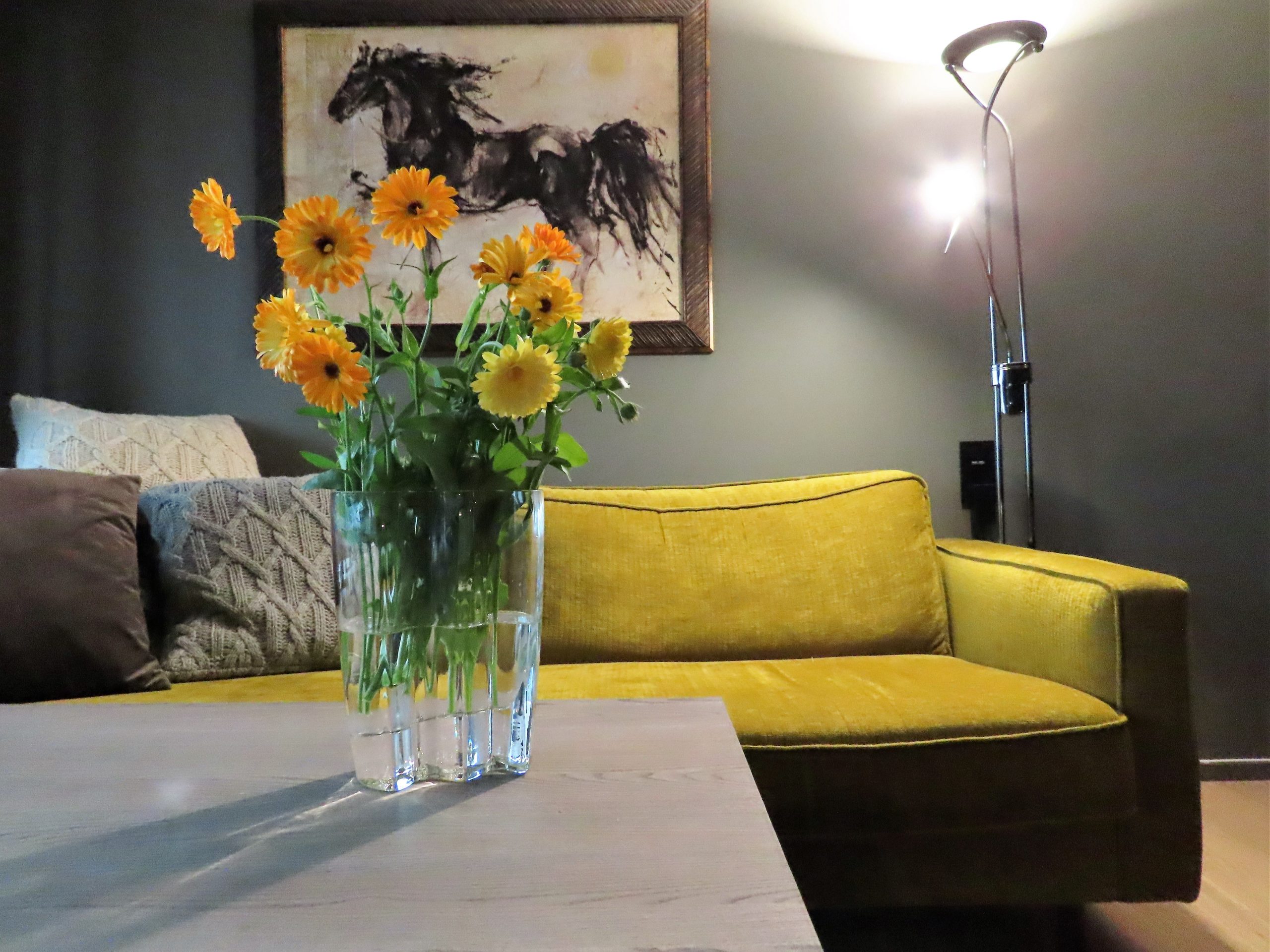 Fra stuen i leiligheten på Riddertunet