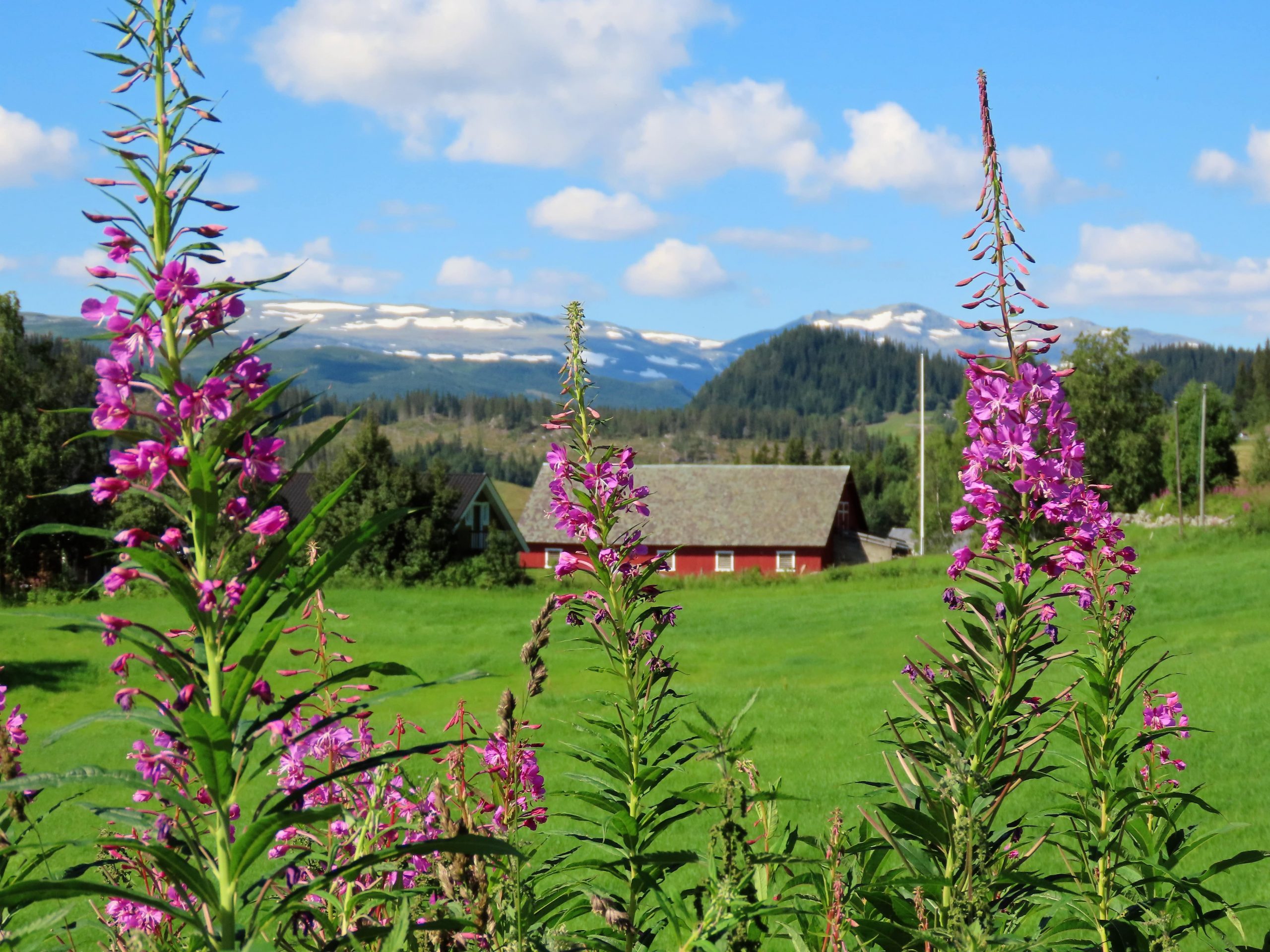 Utsyn mot Beitostølen fra Eker gård