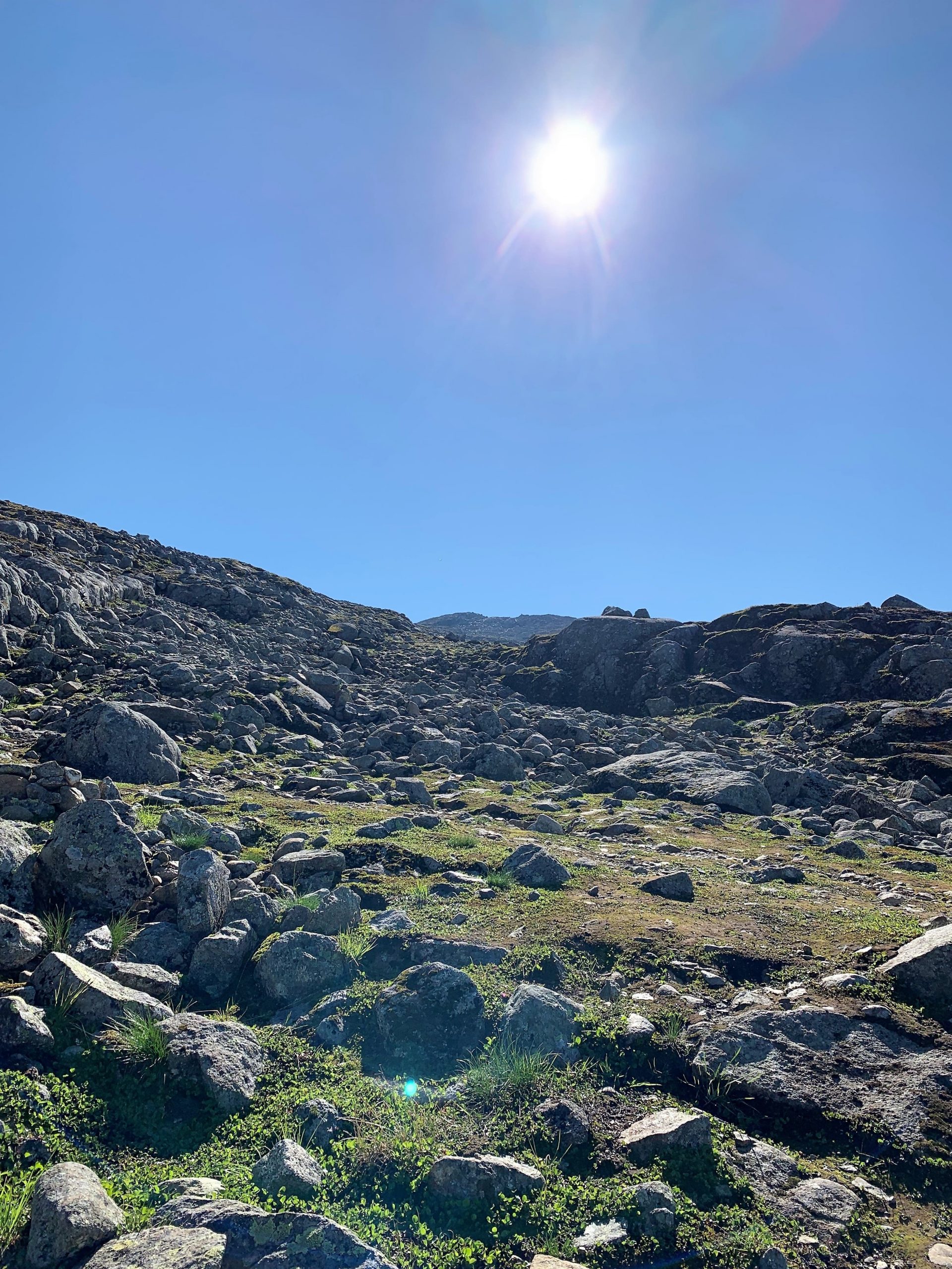 Bitihorn 1607 MOH – porten til Jotunheimen Det siste stykket er steinete