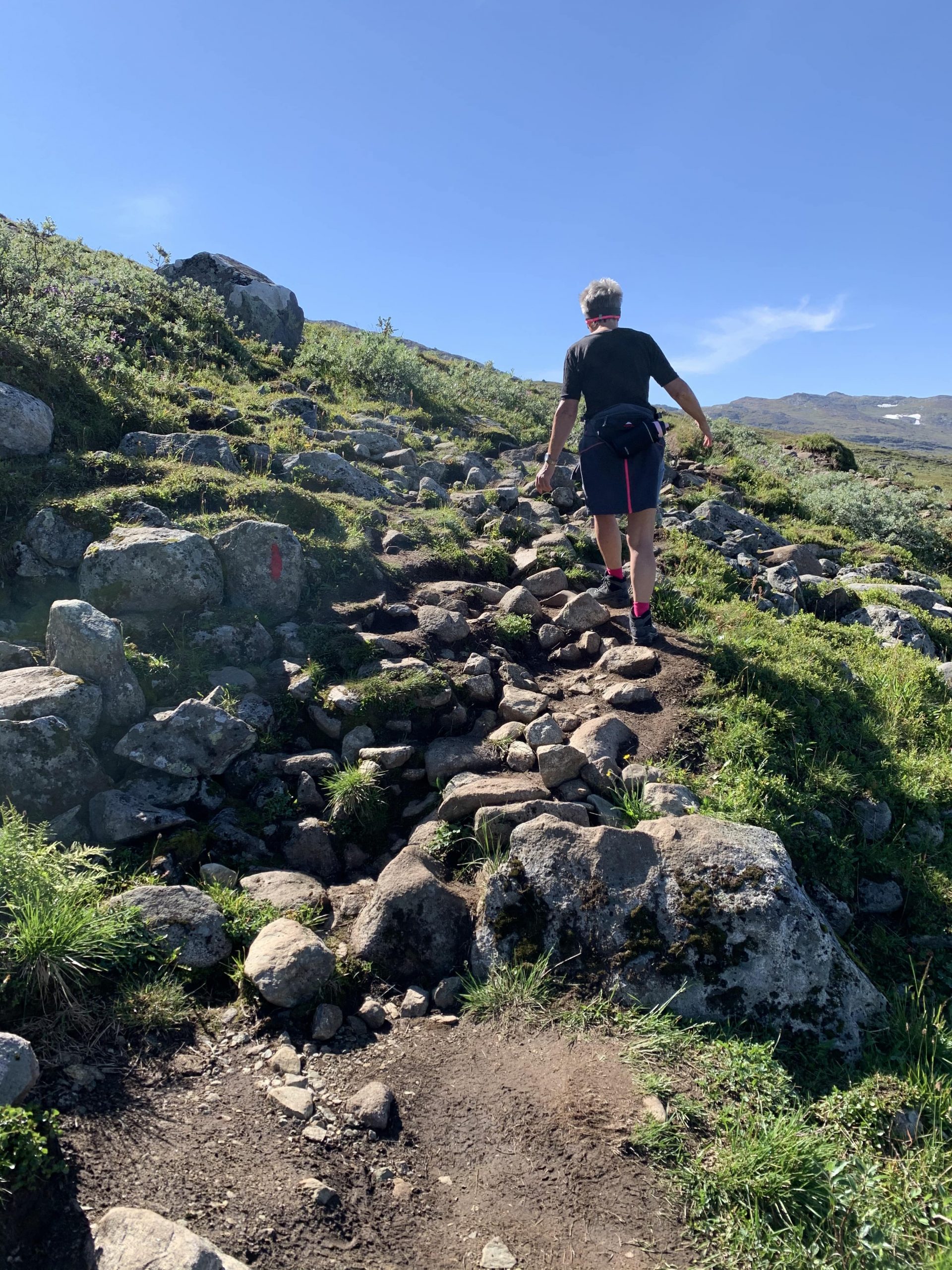 Bitihorn 1607 MOH – porten til Jotunheimen - det stiger jevnt og trutt oppover