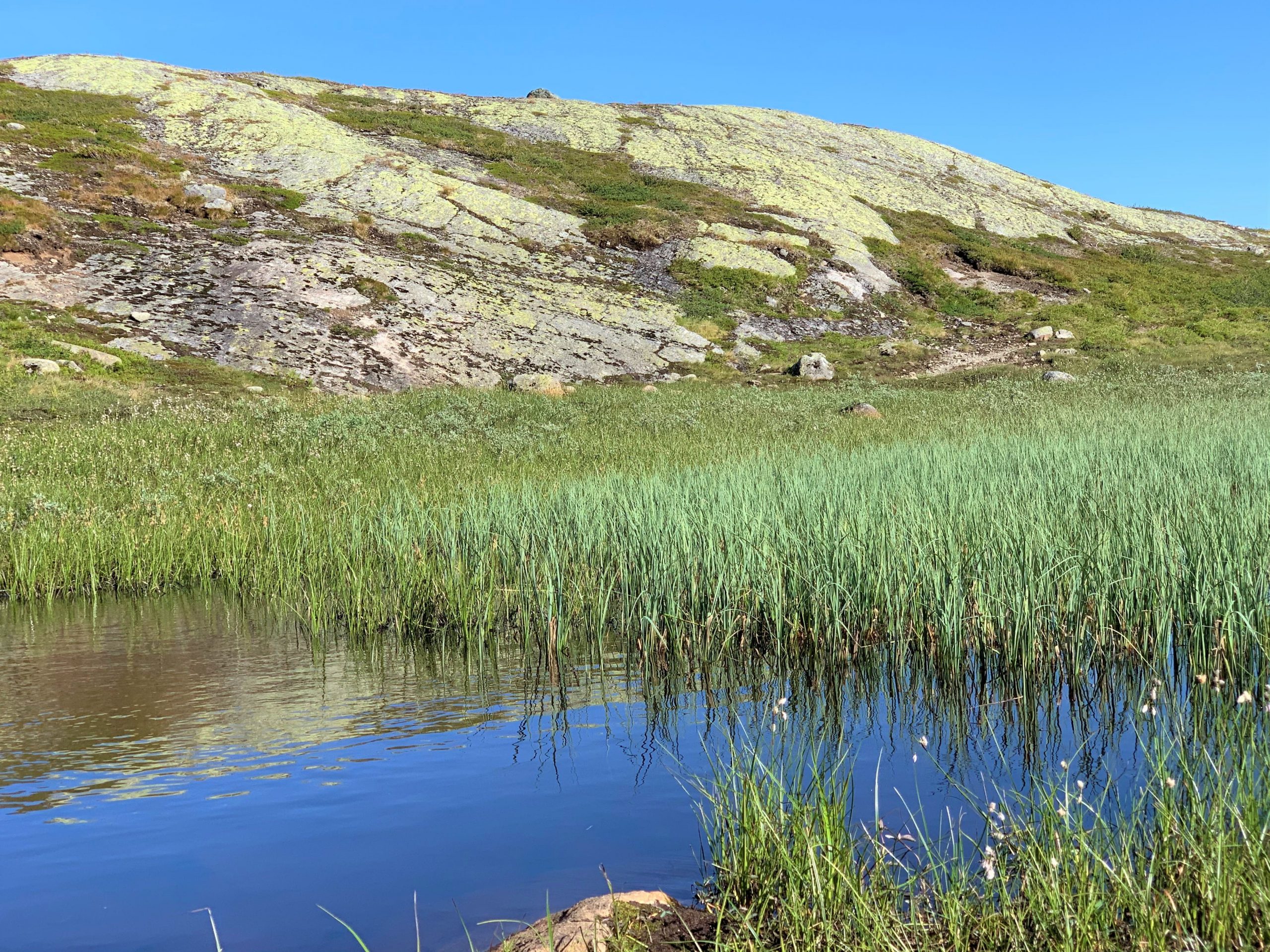 Stille vann i vakre omgivelser like ved parkeringsplassen