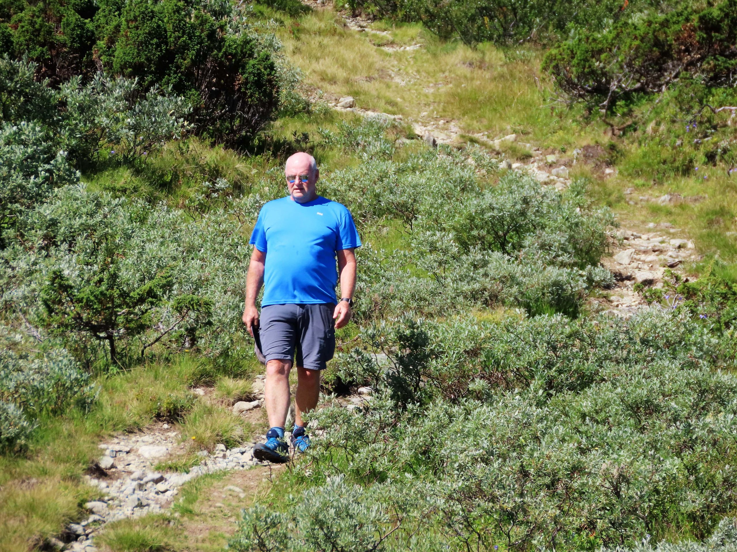 Tor på tur nedover fra fjelltur langs Vinstervatn