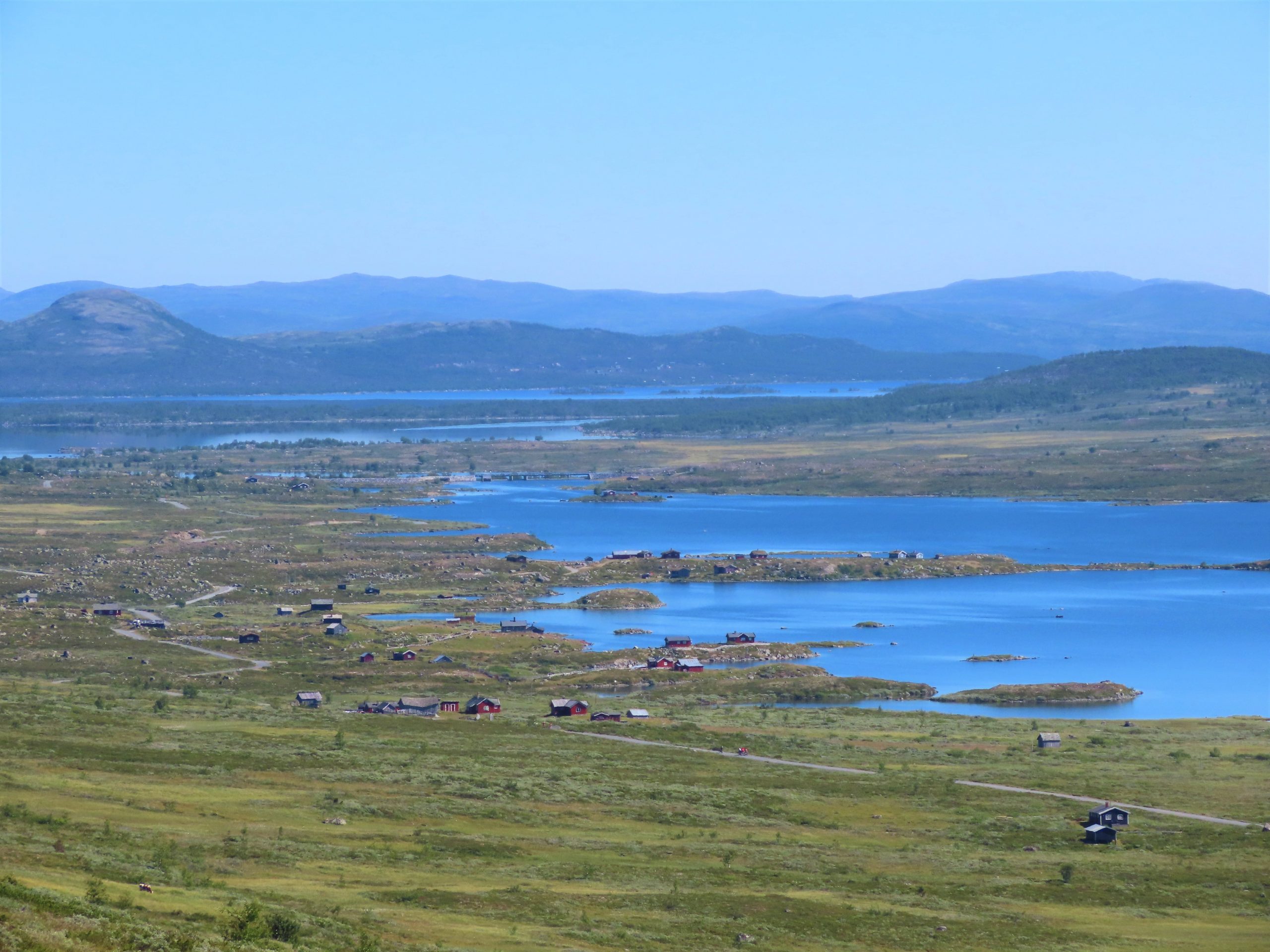 Vinstervatn byr på vakker natur og beitende dyr - Utsikten fra Rjupa