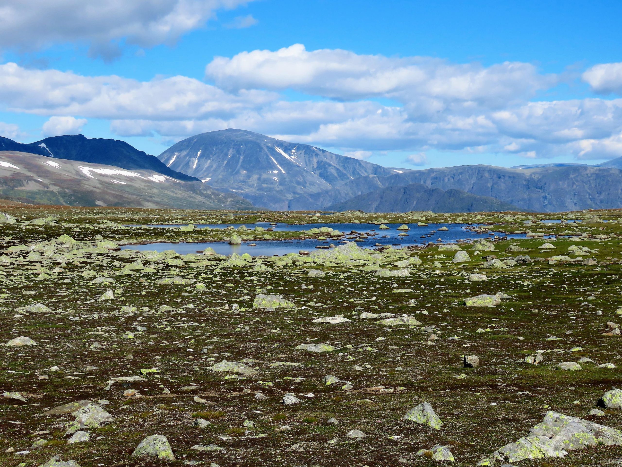Fjell sett fra Flye 1389