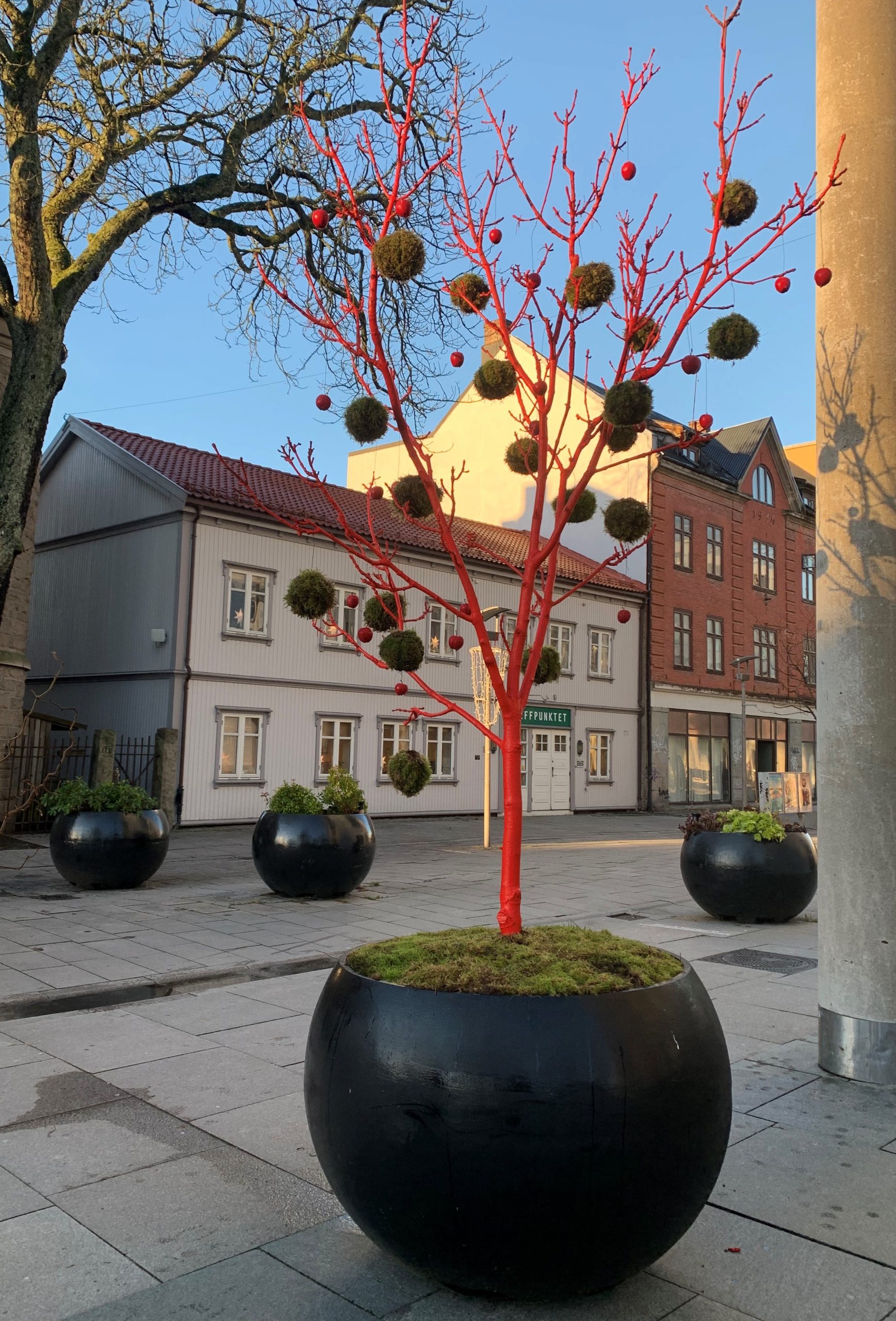 Når Fredrikstad tar på seg finstasen til jul - julepyntet tre i gågata i Fredrikstad