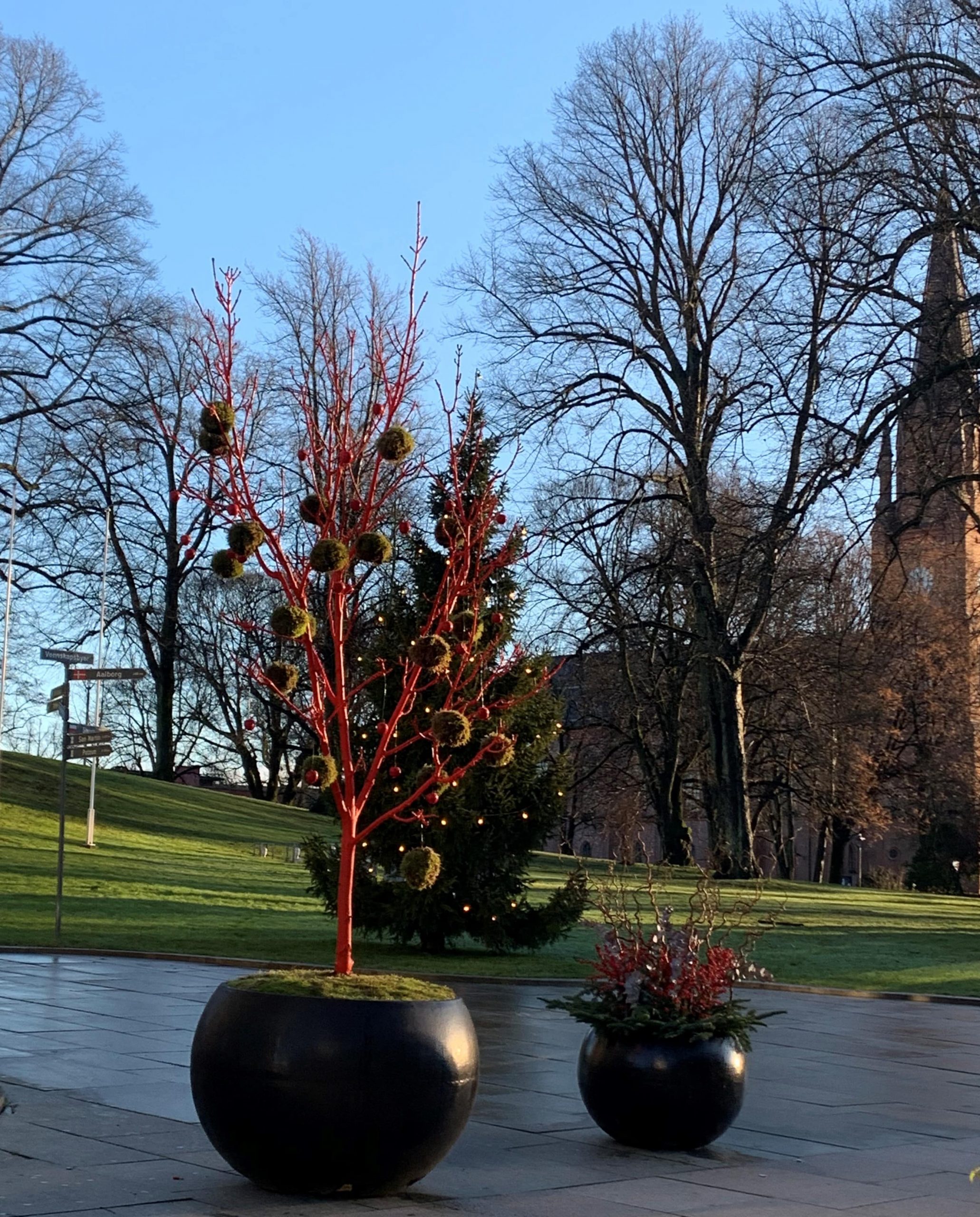 Krukker i julestas - sett mot Domkirken