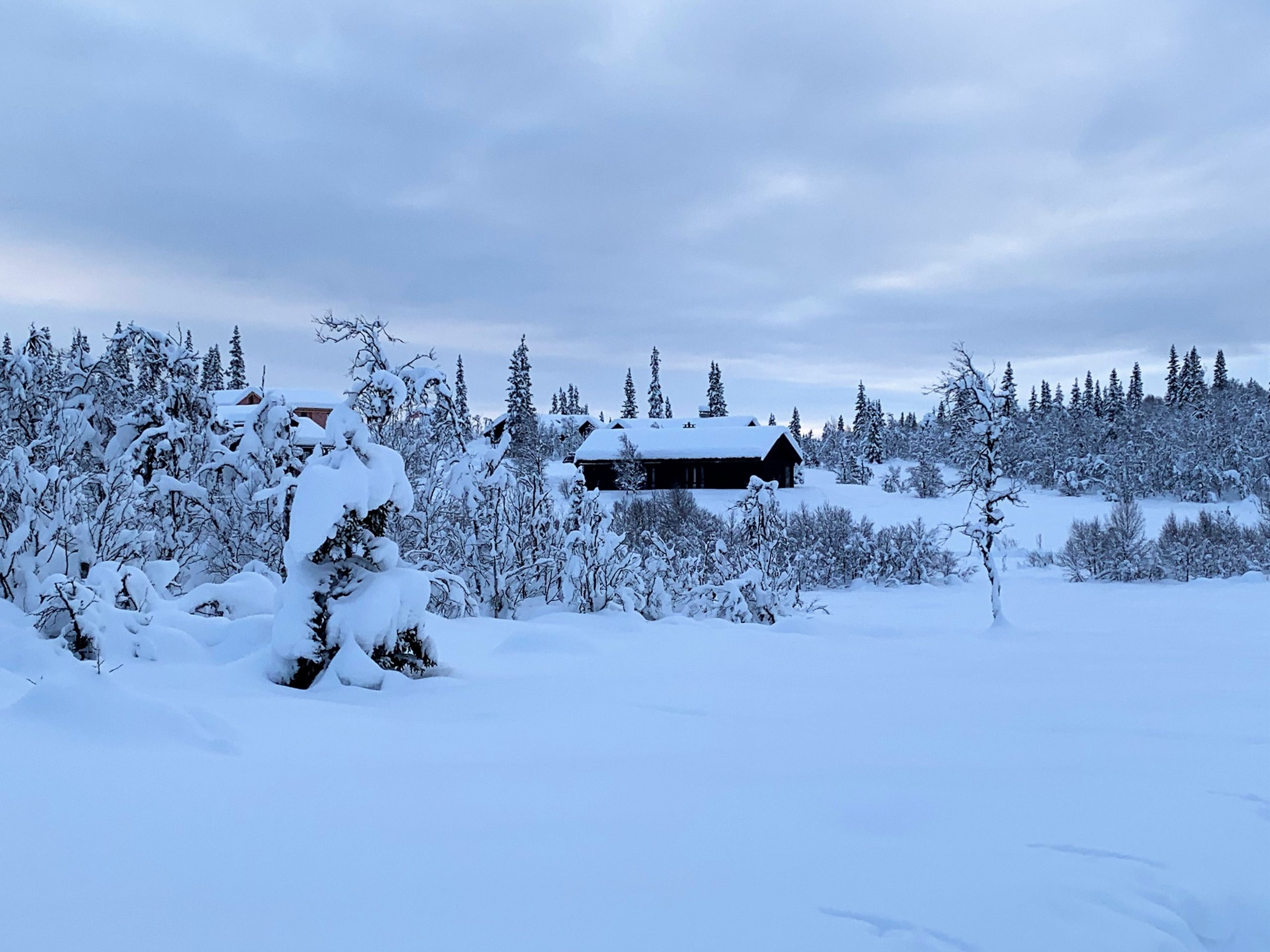 Magiske vinterdager på Beitostølen - Her er det bare å nyte fargespillet i naturen