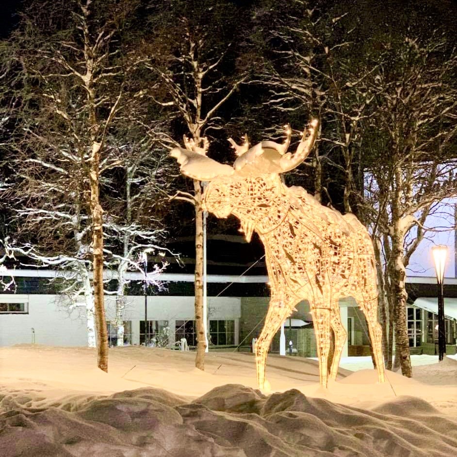 Ikke elg i solnedgang, men som en lysende elgskulptur