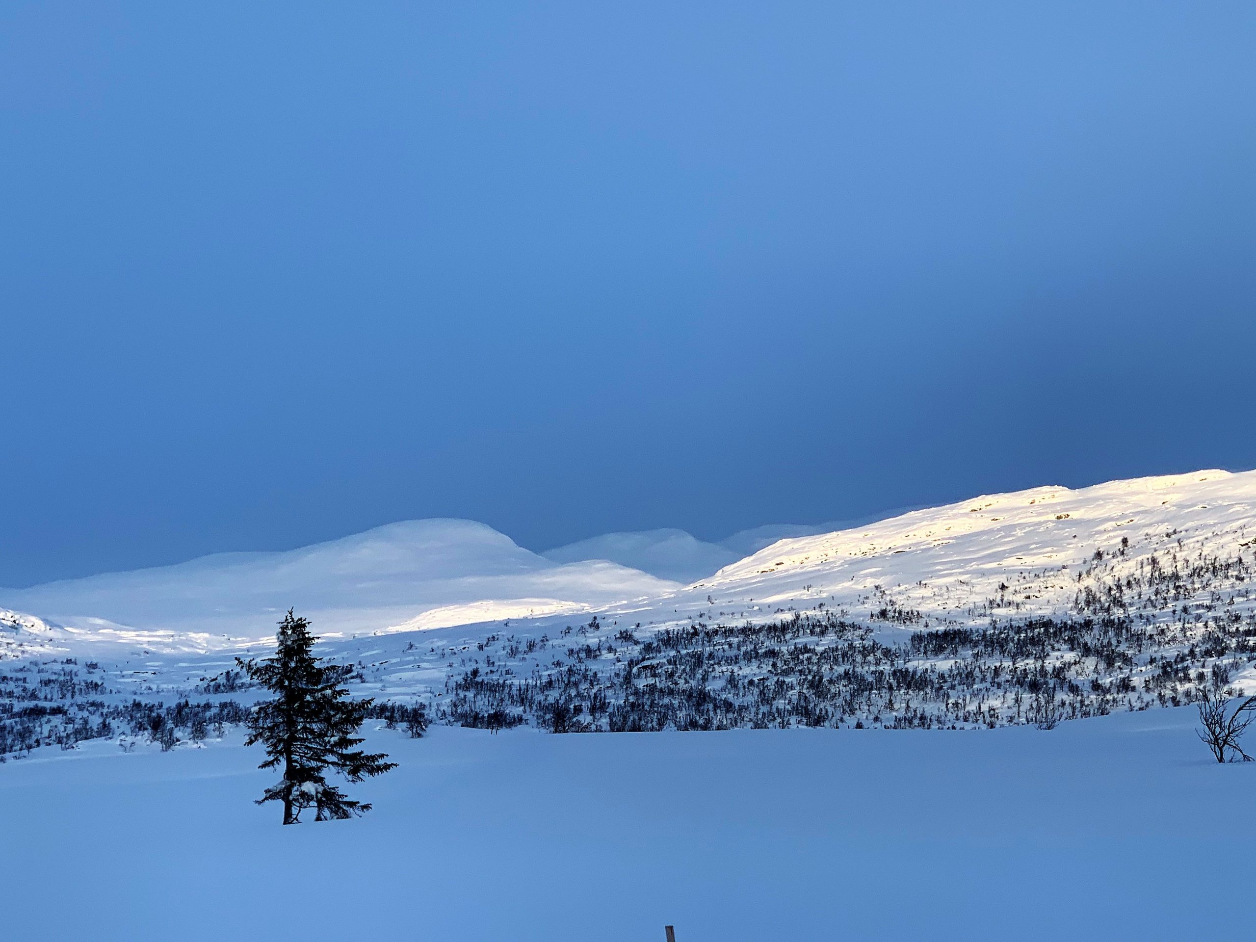 Magiske vinterdager på Beitostølen - lys og skygge i naturen