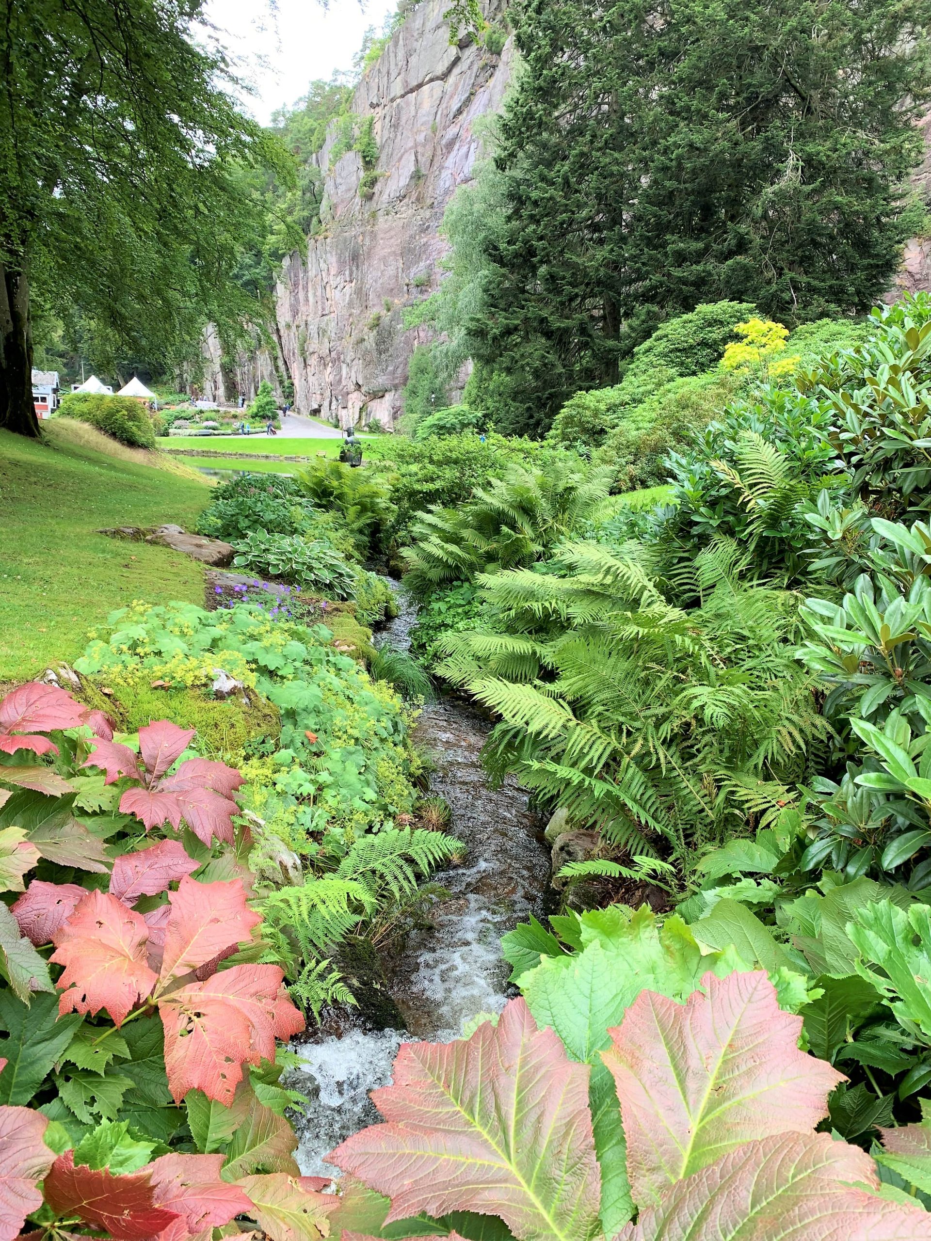 Vakre beplantninger gjennom hele parken