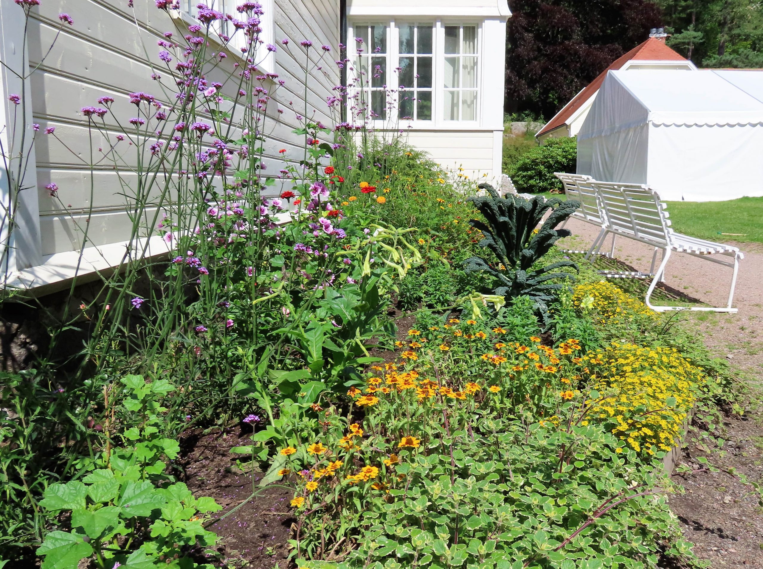 Blomsterbed utenfor hovedhuset på Risøbank