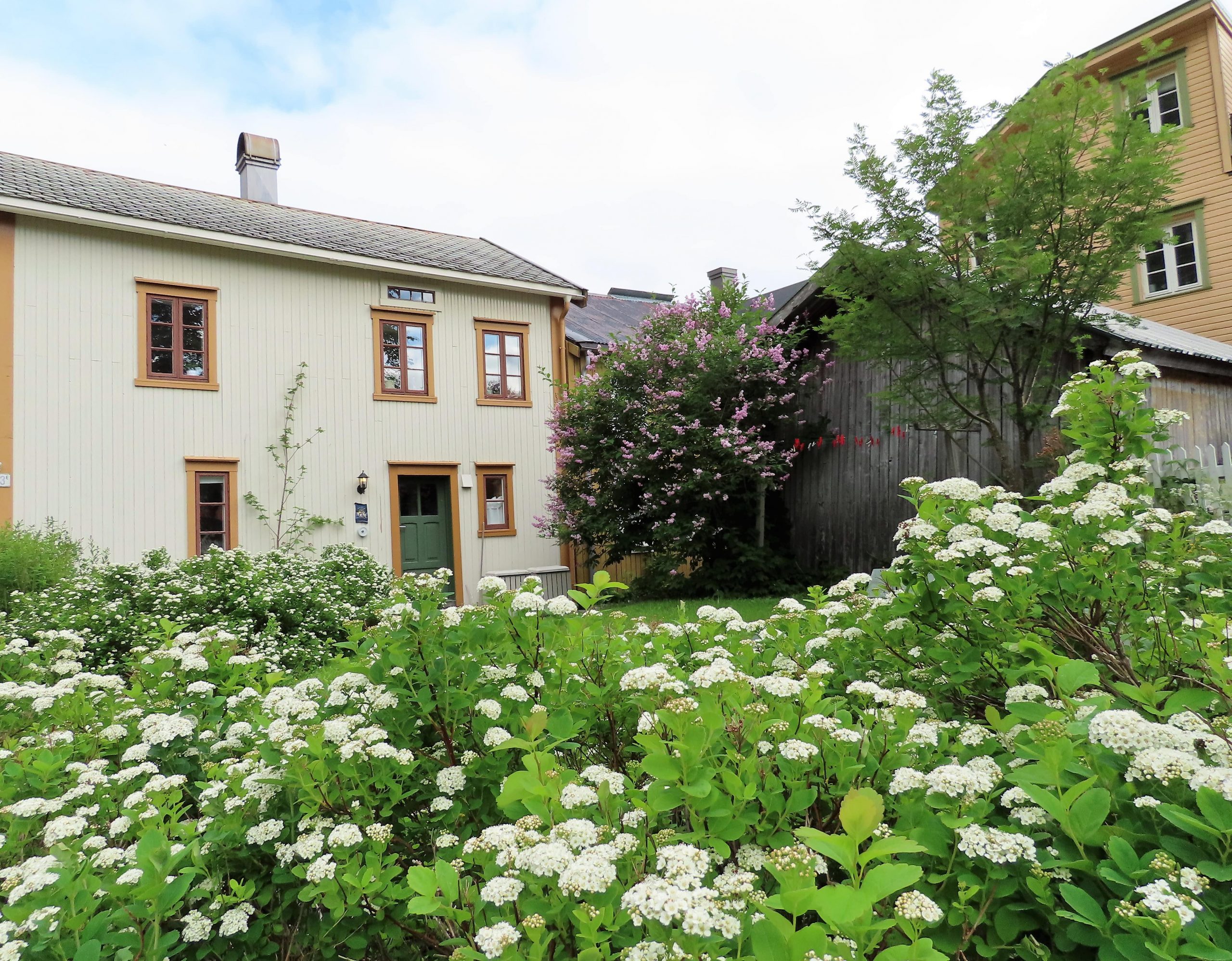 Inn i hagen til en av husene i Sjøgata