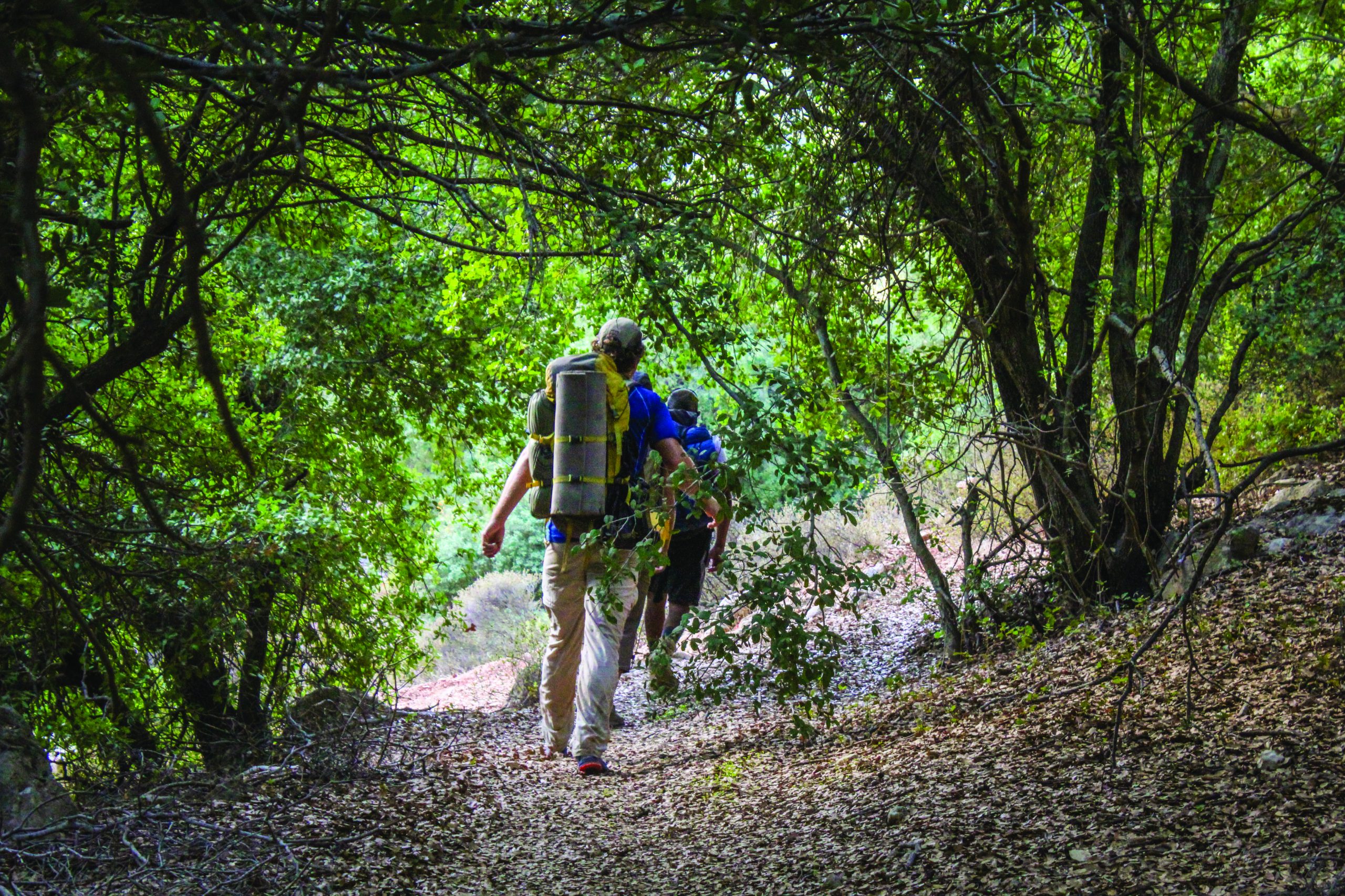 Ajloun Forest Reserve - et sted for en rekke turer