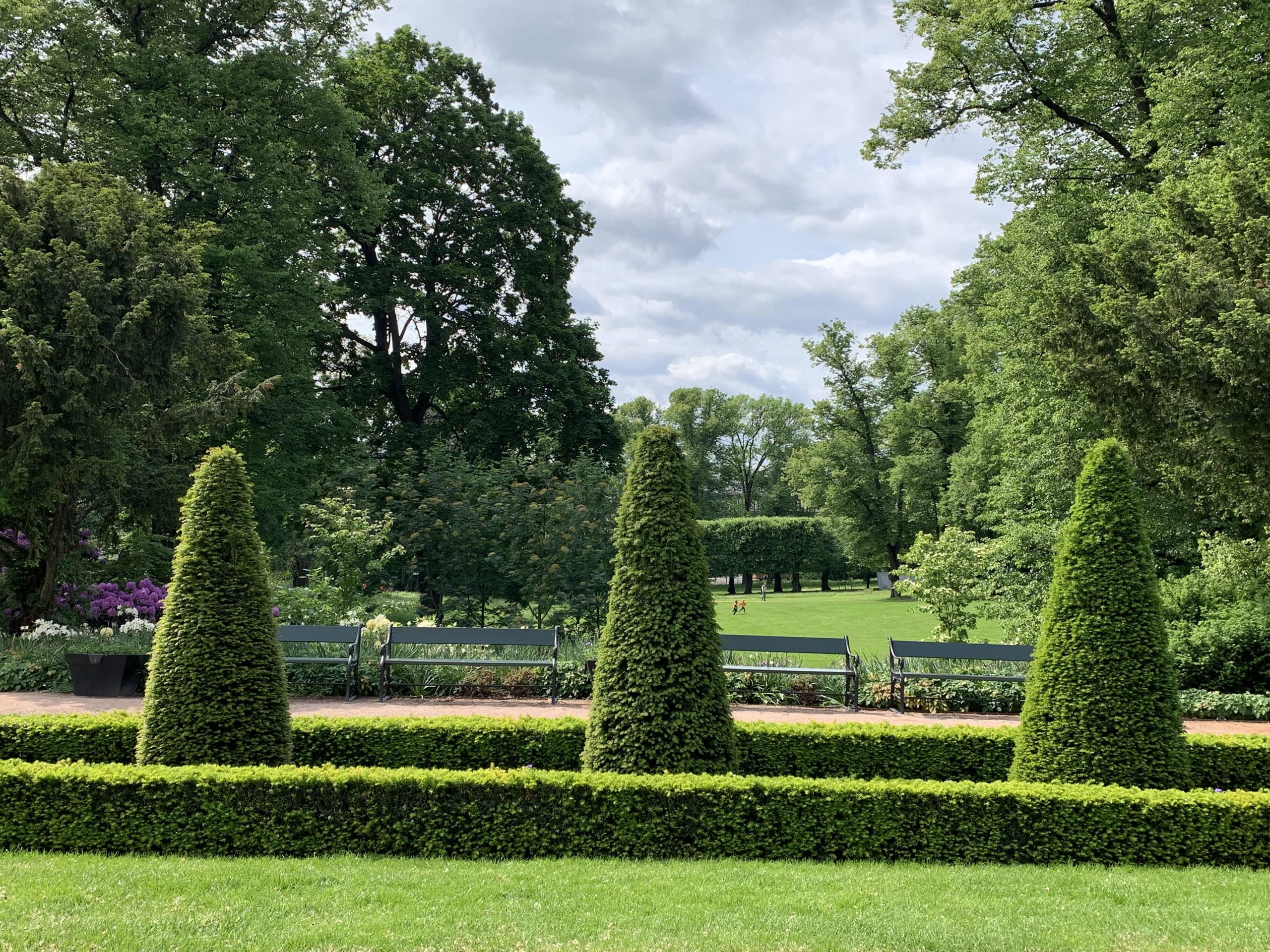 Beplantning i Slottsparken i Oslo