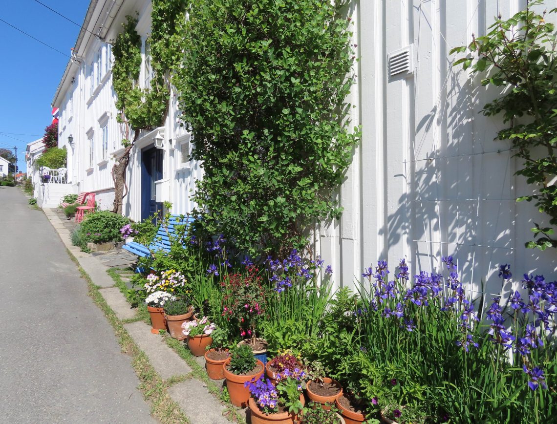 Opplev Risør - trehusbyen langs sørlandskysten — Urbantoglandlig