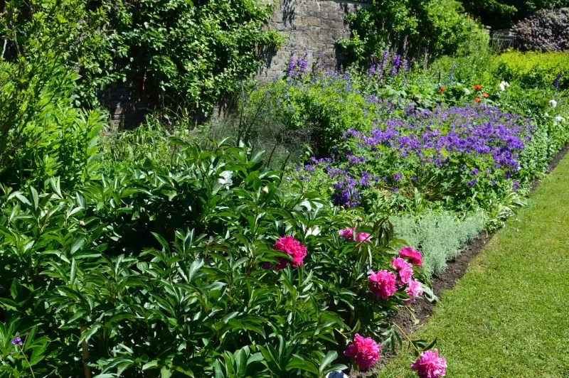 Engelskinspirerte blomsterbed