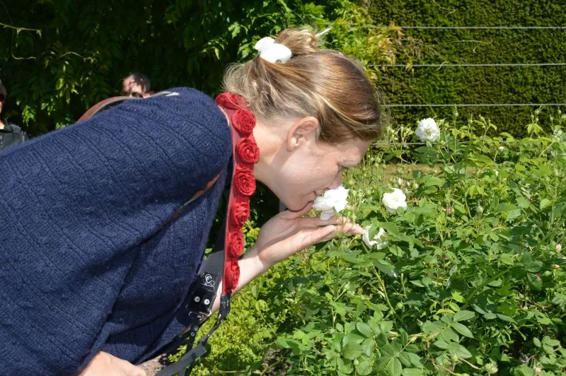 Sofiero Slott og slottshage - en eventyrlig reise Ta deg tid til å snuse på blomstene