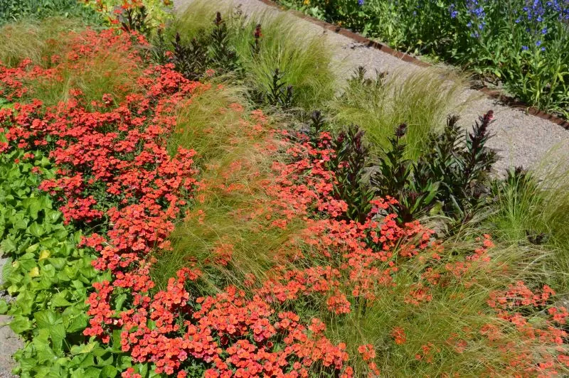 Vakre komponerte blomsterbed