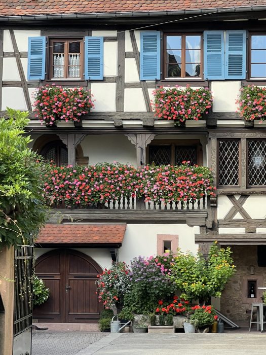 Enguisheim er kjent for sine blomster - de fleste hus omfavnes av blomster på utsiden
