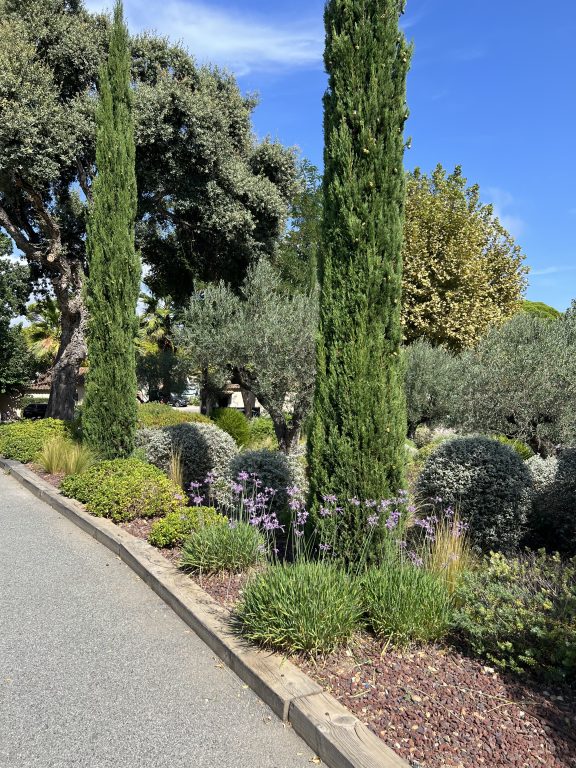 Beplantning på campingplassen Les Müres i Port Grimaud under bobilferien fra Norge