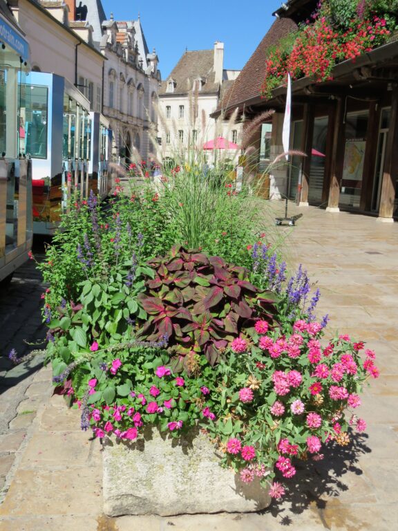 Blomster i Beaune
