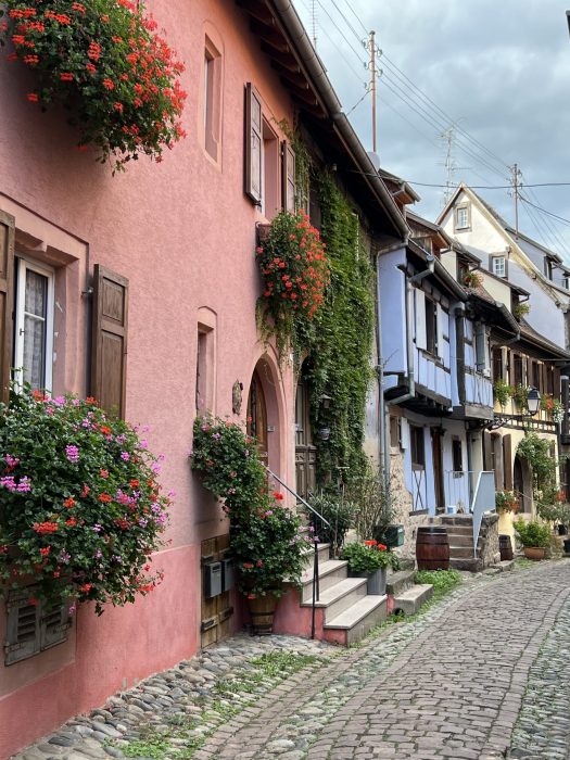 Blomsterprakt i Eguisheim