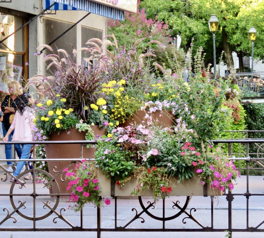 Blomsterprakt i Annecy
